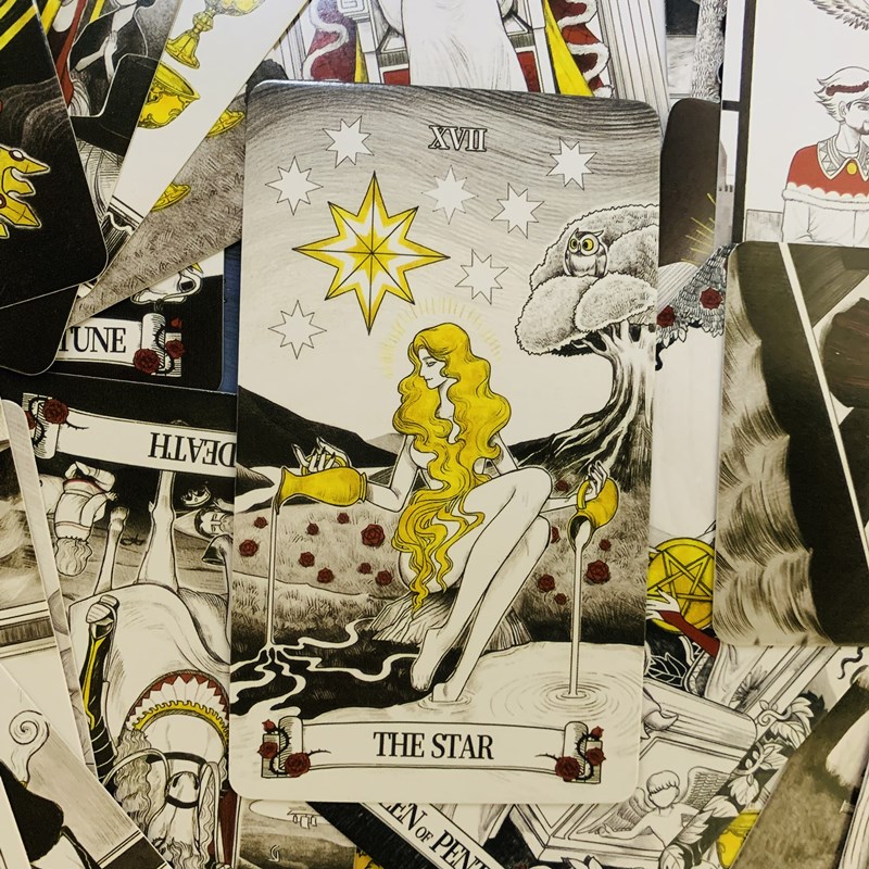 Secret Mirror Tarot-Karten, 80 – Board Game Of Life Bewertung und Preis